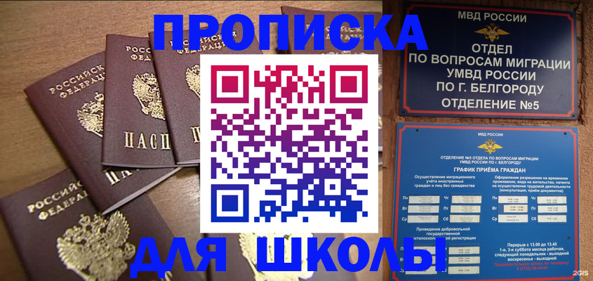 прописка гарантия в Клине